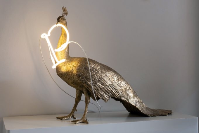 peacock-lamp-design-lifestyle-0
